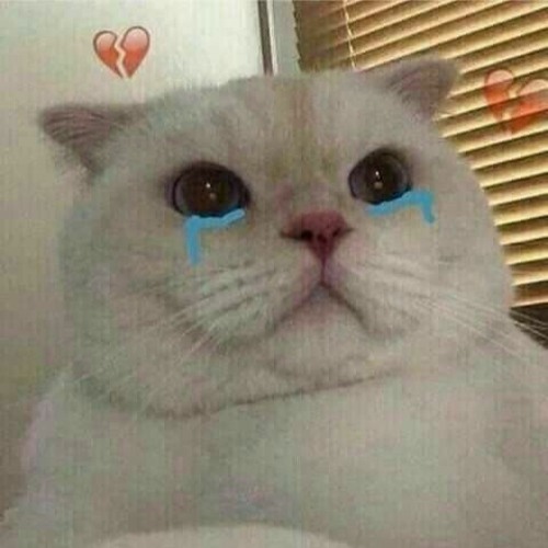 nghe nhac anh moi khi buon (lai la nhinh)