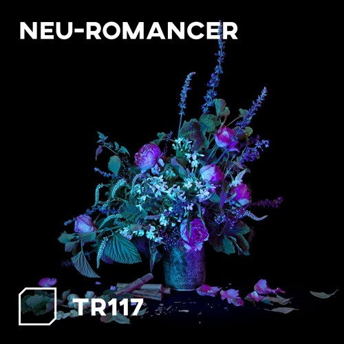 TR117 - Neu-romancer