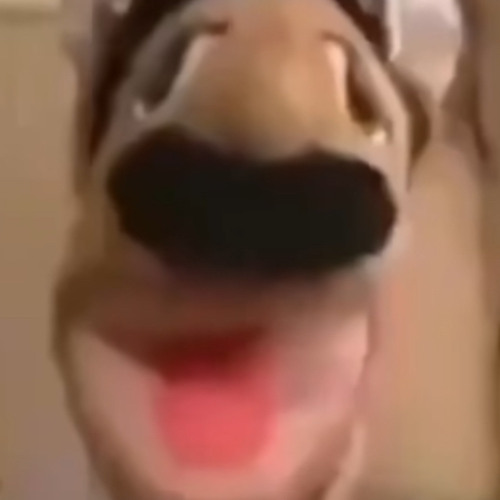 The Tesla Bot broke into my house and is stealing my money