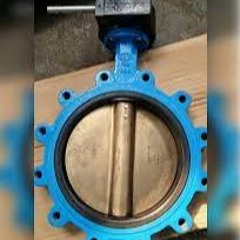 Get The Best Butterfly Valve Online From CWT Valve