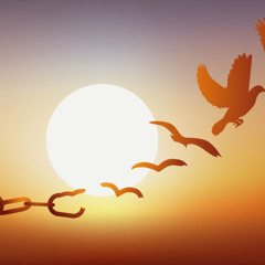 Let it go