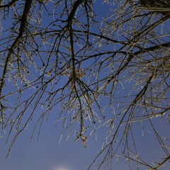 Dry Drunk (Freestyle)