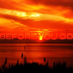 Before You Go