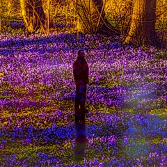 0-intend - without you (prod. 2wenty2wo)