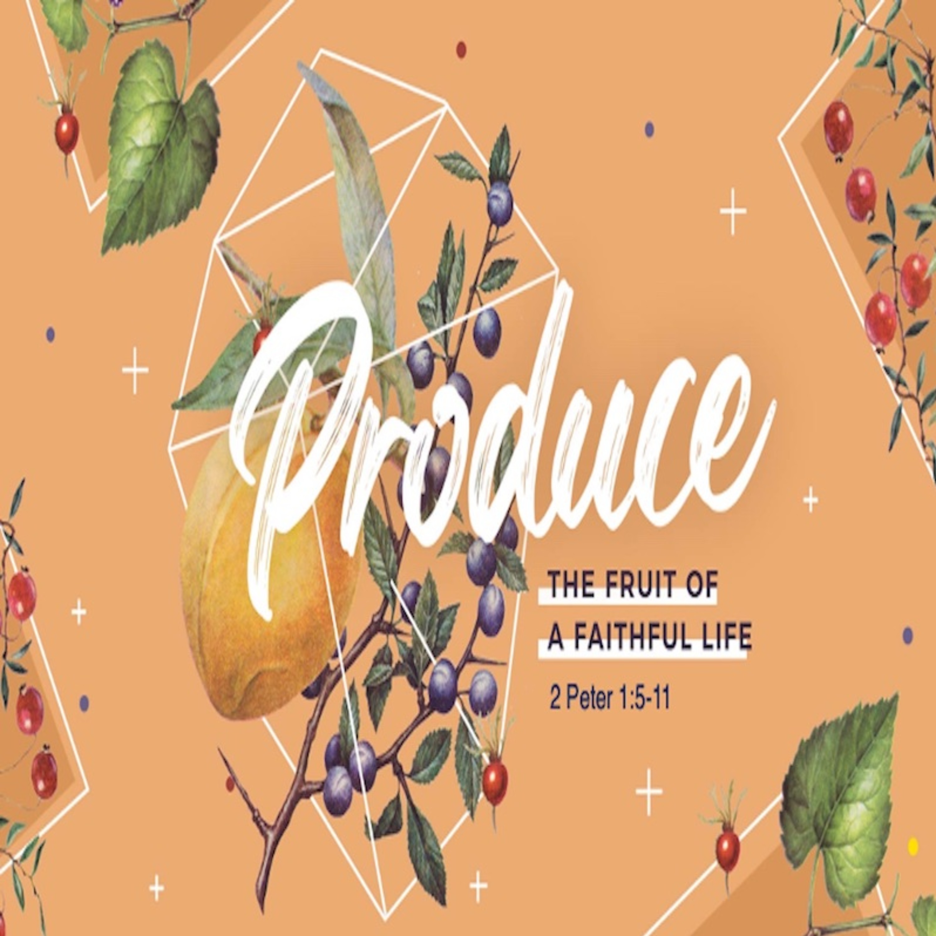 01-22-23 Produce- The Fruit Of A Faithful Life (Part 1) episode artwork