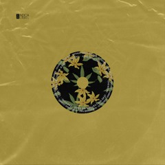 Premiere : Gabss - Mr Funny Synth (INDK002)