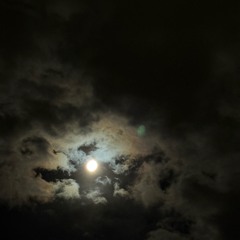 Moon Beams