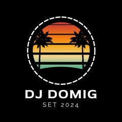 SUMMER PARTY 2024 | 🎧 DJ DOMIG ⚡