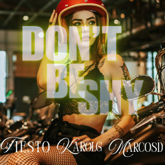 Tiesto & Karol G - Don t Be Shy (Marcosd Remix)