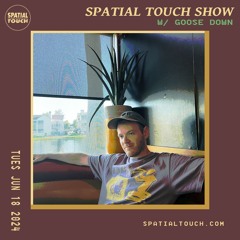The Spatial Touch Show (w/ Goose Down) 06-18-24