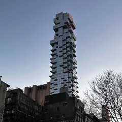NYDC
