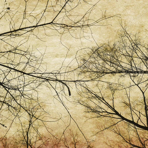 Dakumon & Mxrceline - Bare Trees (prod. Saint Mike)