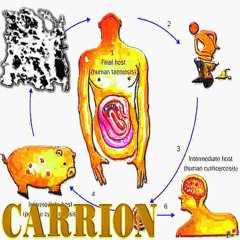CARRION