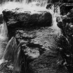 ANYBODY THERE GONNA TELL ME    bach&jones jonessongs (C)