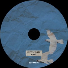 White Winged Dove - Ben Brown