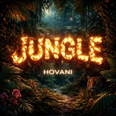 JUNGLE-MIIINASAN REMIX (techno)