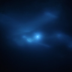 Honey Badger - Autumn dream