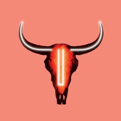 Anthony Zmoda - You Do Not Talk About Fight Dub (Original Mix)