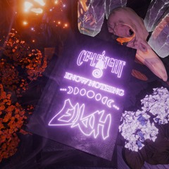 cellenight, elkoh - knownothing