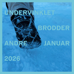 undervinklet - 02012026 - brodder