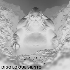 Digo Lo Que Siento