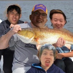 Fisherman Friends