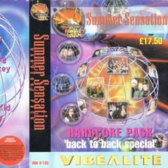 Breeze & MC Whizzkid Odyssey MC @ Vibealite - Summer Sensation - B2B Special (15/06/2002)