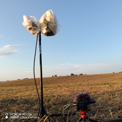 Wind In The Open Field