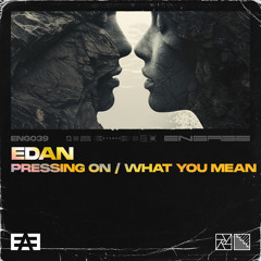 What You Mean