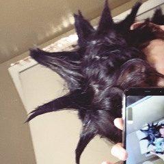 answer (prod. peyesee)