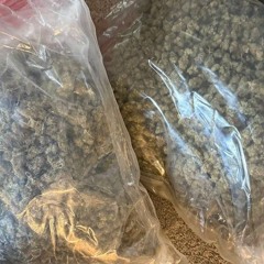 lil coco f4kkpaypal951 freestyle (supremacy)