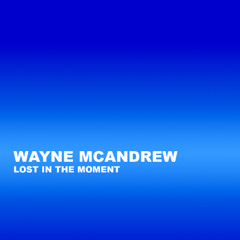 Wayne McAndrew - Lost In The Moment