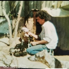 En Tu MeMoRiA - WaTa De CaBaLLo TeMa2009