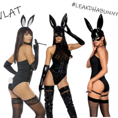 #LEAKDHABUNNY