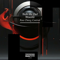 Tech Us Out, Woeste - Control This (Original Mix)