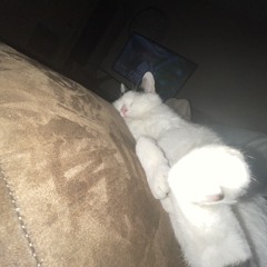 Chillin (again)