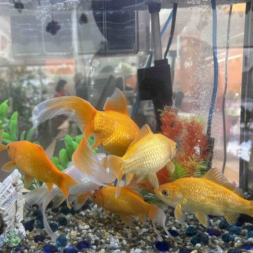 rest about it_mp3girl_