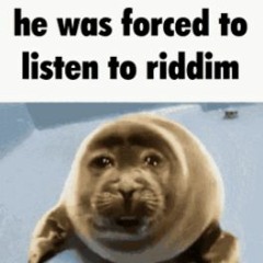 he was forced to listen to riddim