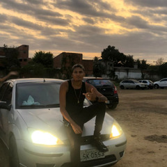 VUKVUK EMBRAZANTE NO BAILE (Remix)