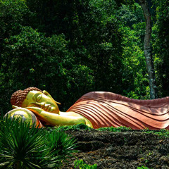 Ep. 508 Riflessioni sulle guerre e la pace