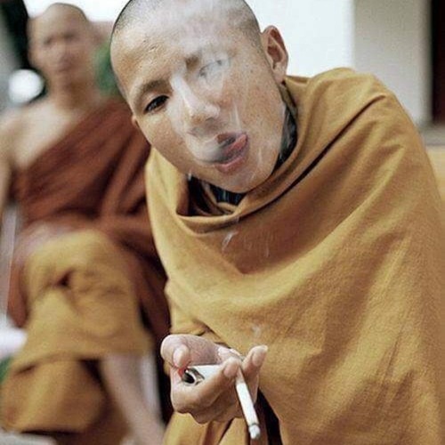 Im geeky on halloween (p. littl x frenchie)