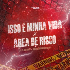 ISSO É MINHA VIDA X AREA DE RISCO - (( DJ PL MALVADAO, MC GORDINHO DO CATARINA ))