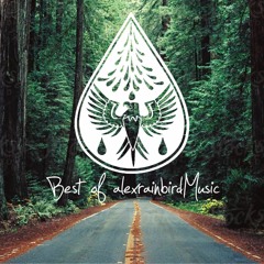 Best of alexrainbirdMusic 2022 🎉 - An Indie/Pop/Folk/Rock Playlist