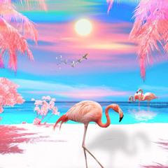 Havana 1983 - Chrome Flamingo Beach