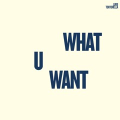 What U Want - Free Download