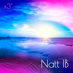 X3 NattIB