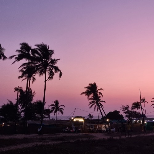 Ecstatic Dance live set at Arambolians (Goa), 20.04.2024