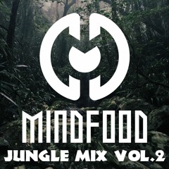 Mindfood - Jungle DnB Mix vol.2 | 08.03.2023