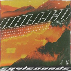 "Valley" Travis Scott x A$AP Rocky Type Beat