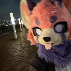 room party of a lifetime